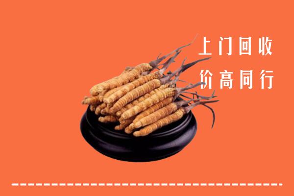 附近收购：扶沟县冬虫夏草回收多少钱每克