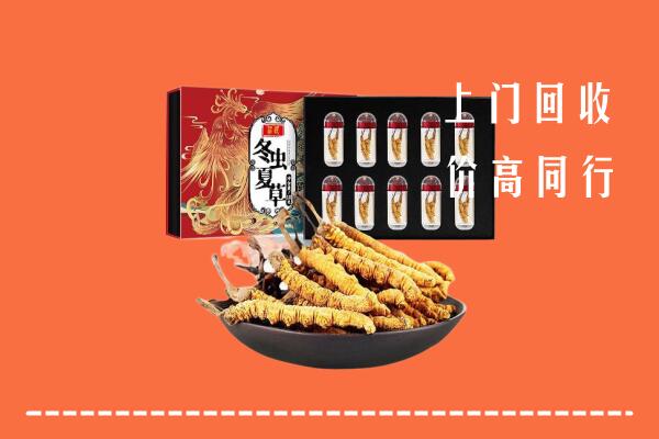 扶沟县回收虫草